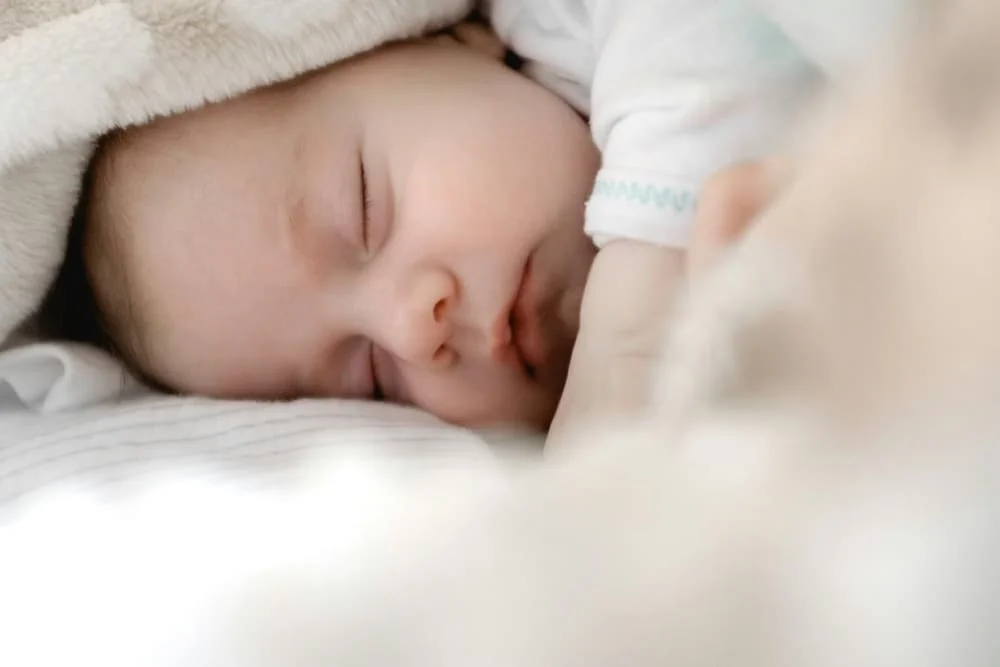 Fotografía newborn de bebé durmiendo plácidamente, sesión fotográfica infantil en estudio Tarragona.